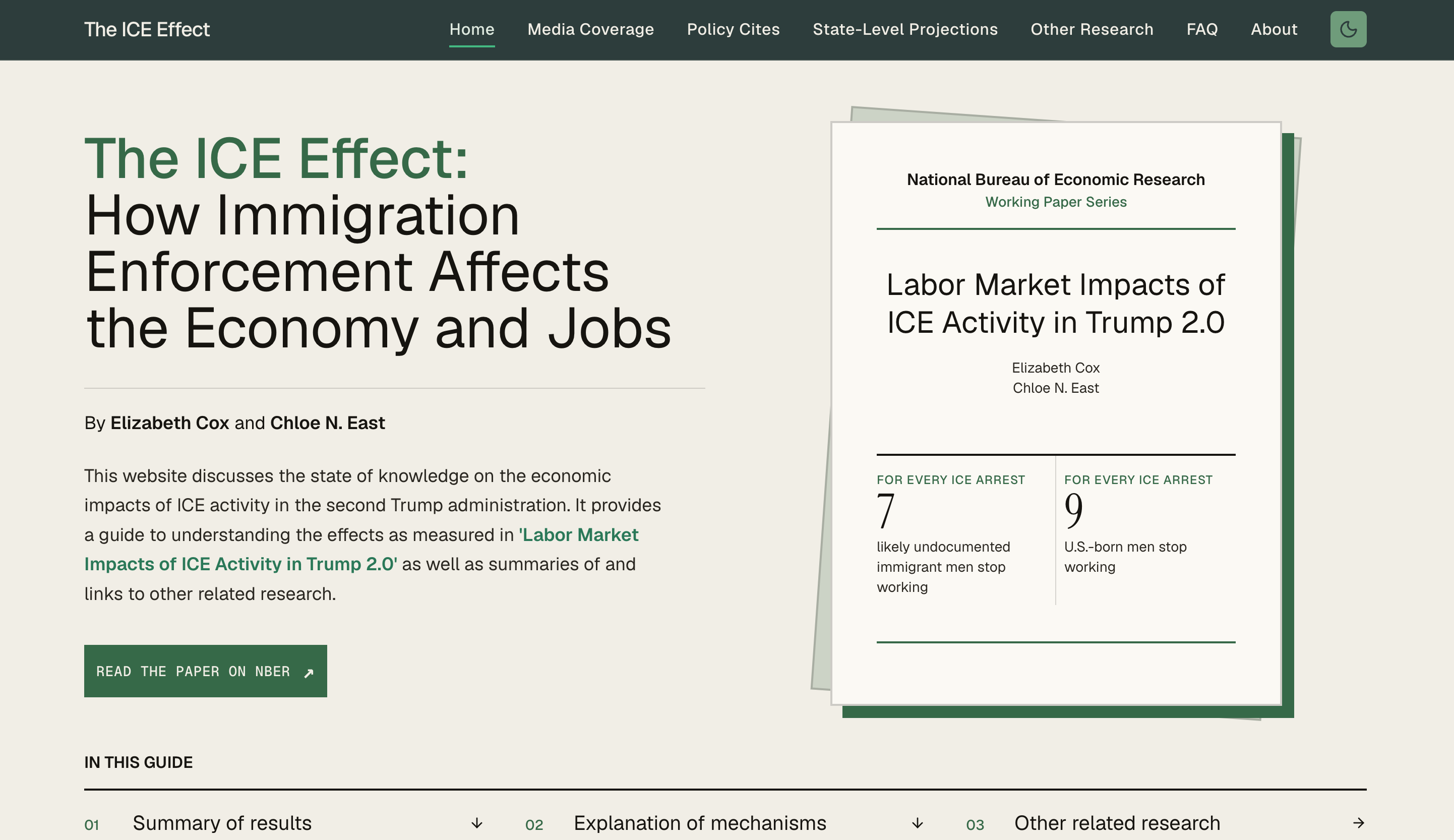 ICE Effect website